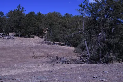 DSC_2224 (Large).JPG